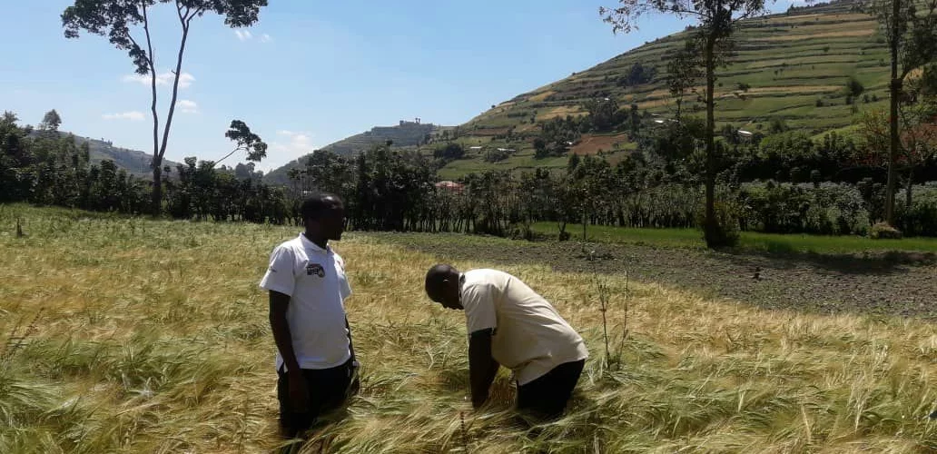 Coffee, Grain, Nutrition & Agroinputs