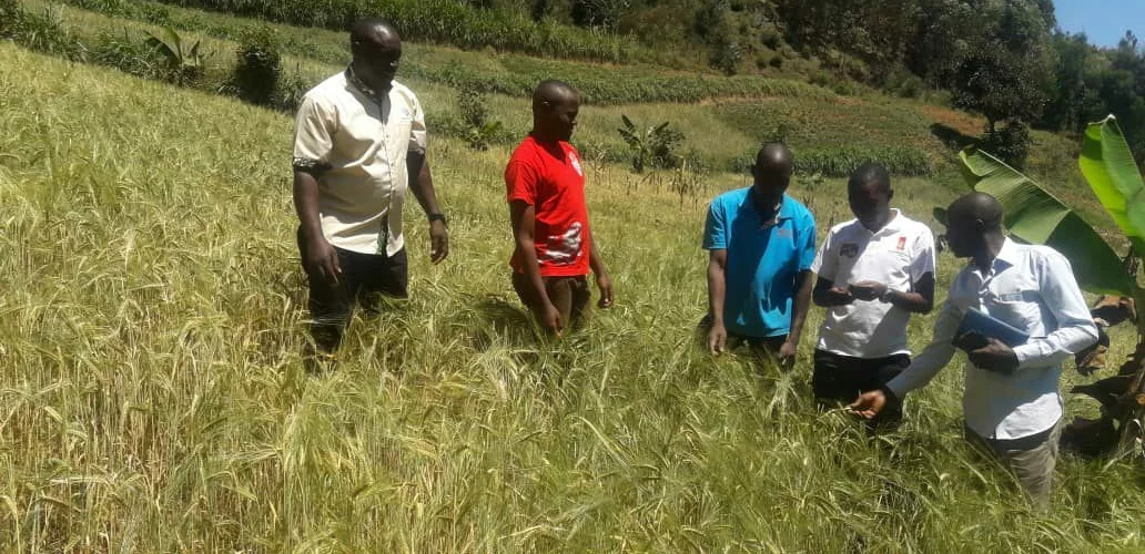 Coffee, Grain, Nutrition & Agroinputs