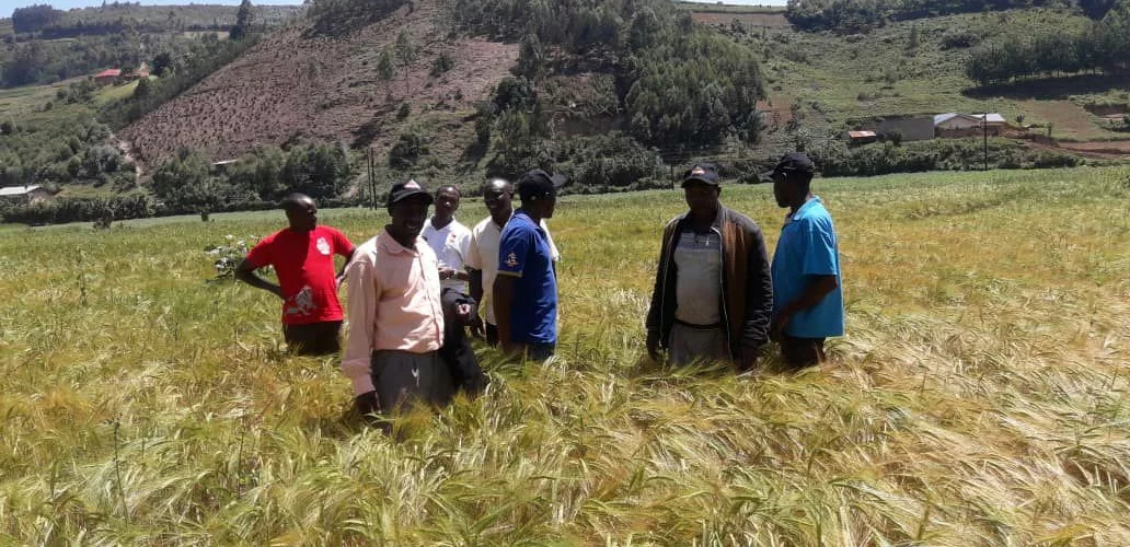 Coffee, Grain, Nutrition & Agroinputs