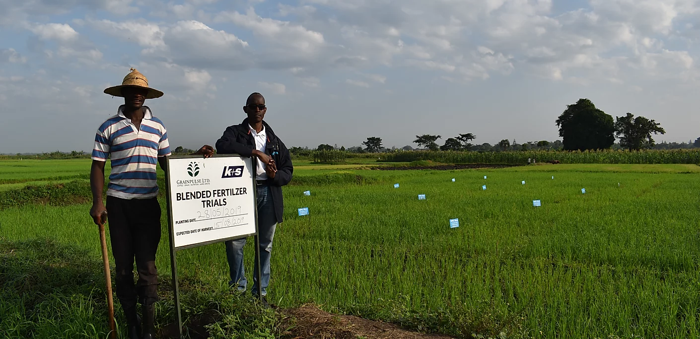 Coffee, Grain, Nutrition & Agroinputs