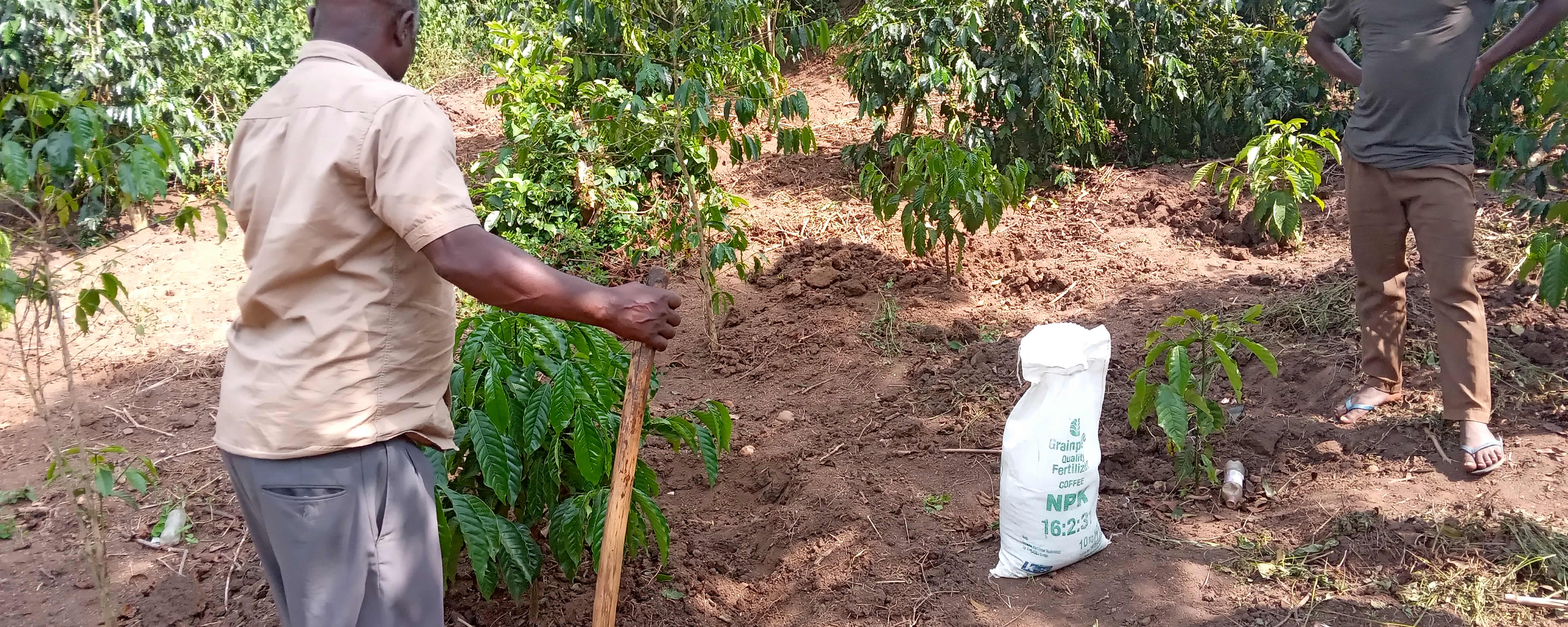 Coffee, Grain, Nutrition & Agroinputs