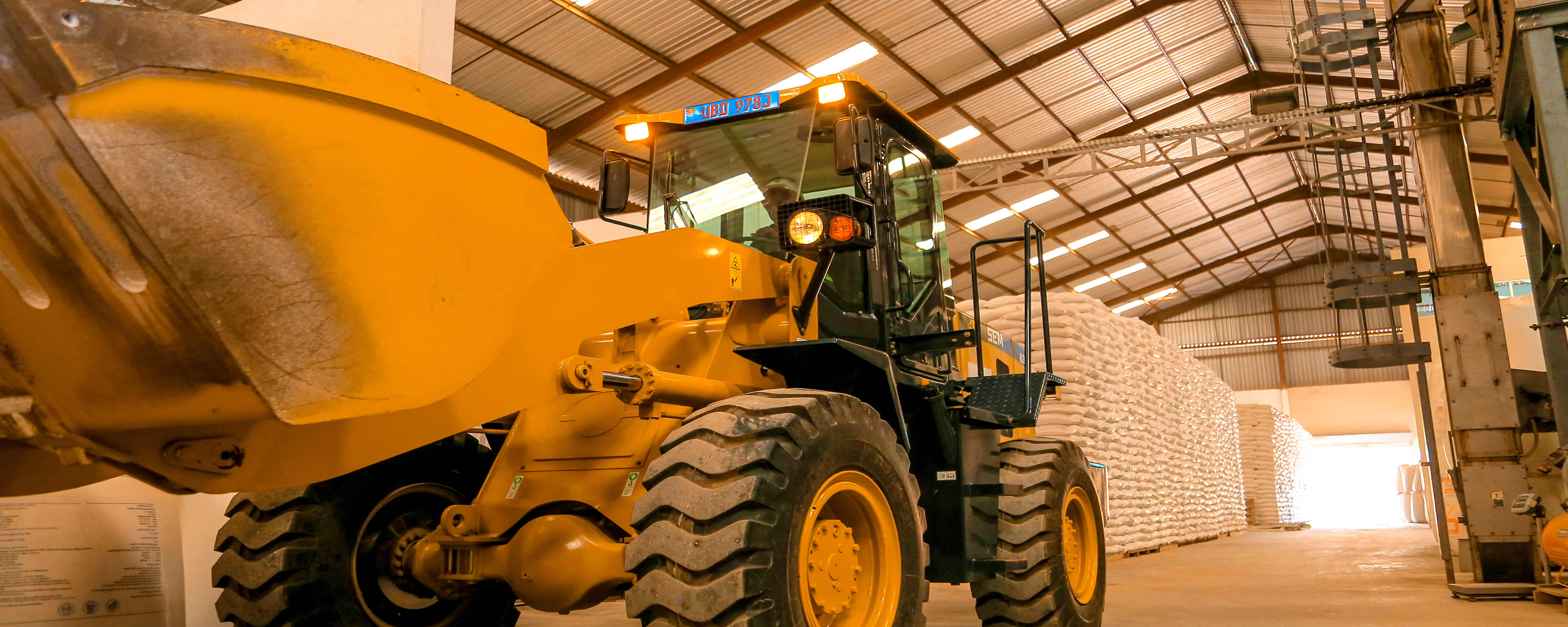 Coffee, Grain, Nutrition & Agroinputs